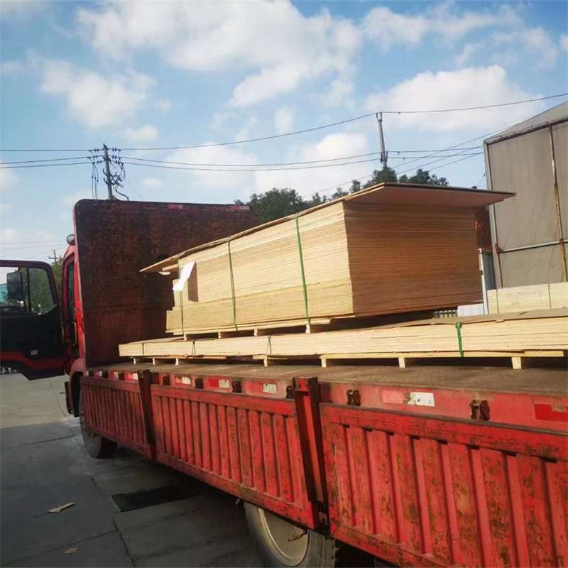 河南洛阳偃师至塔城货运专线，一站式物流服务助您成功